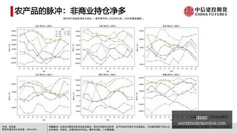 2026最新陈吉宁实地调研：引领上海教育卫计党委，迈向高质量发展新高峰